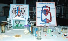 Science Teaching Equipments