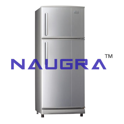 Refrigerator with Two Doors