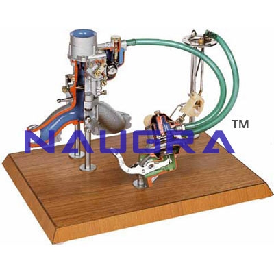 Petrol Engine Feeding Circuit- Engineering Lab Training Systems