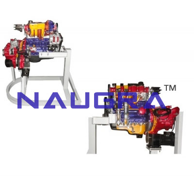 Cut Section Model of Four Cylinder Four Stroke Petrol Engine