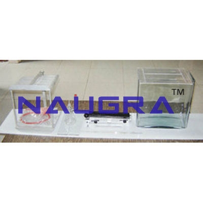 Thin Layer Chromatography Apparatus Laboratory Equipments Supplies