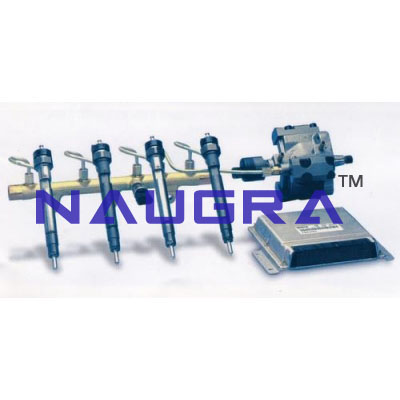 Common Rail Injector