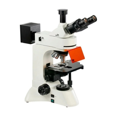 Fluorescence Microscopy