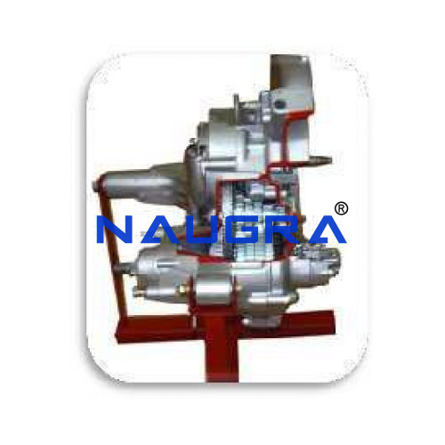 Gear Box Constentmesh (Cut model)