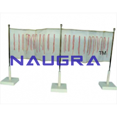 Screen Electroscope