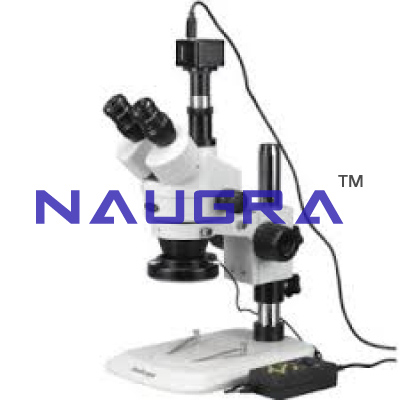 Microscope with Attached Camera