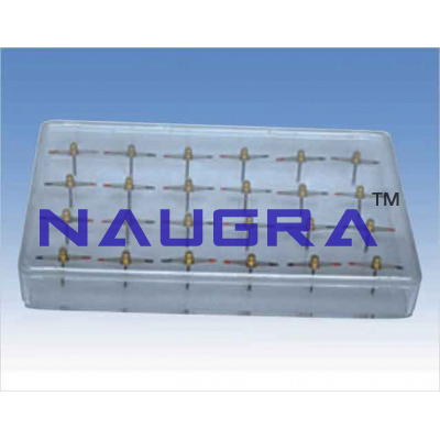 Magnetic molecule model