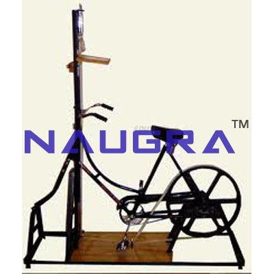 Bicycle Ergograph Laboratory Equipments Supplies