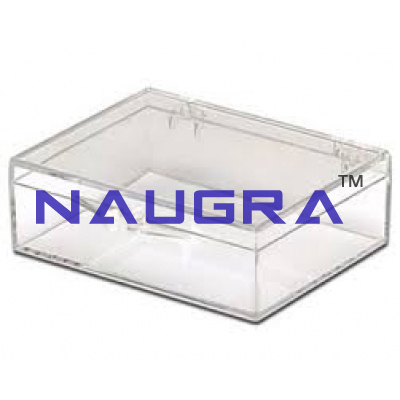 Transparent Plastic Box