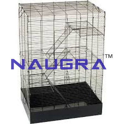 Rat Cage