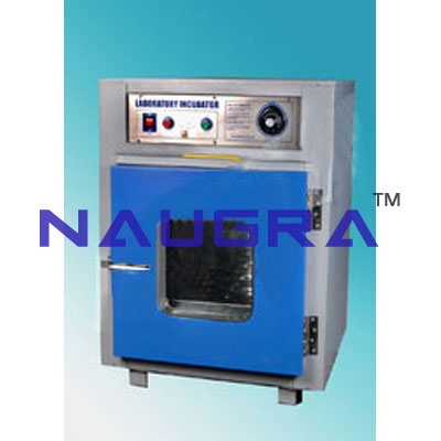 Incubator Bacteriological Laboratory Equipments Supplies