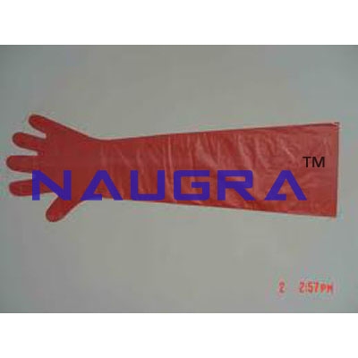 Veterinary Gloves