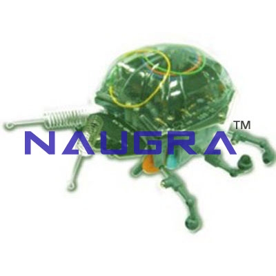 Ladybug Robot Kit (Infrared Sensor) For Electrical Lab Training