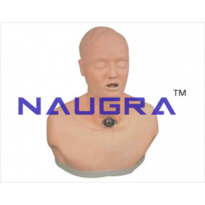Advanced adult model for the nursing of incision of trachea