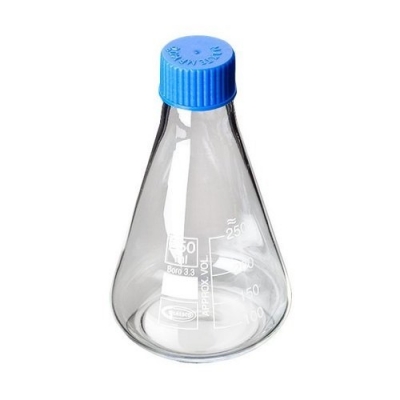 Flask Conical With Screw Cap Laboratory Equipments Supplies