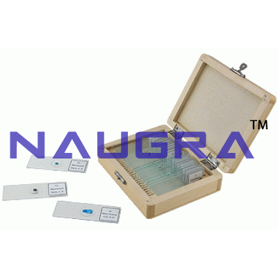 Microscopic Slides Laboratory Equipments Supplies