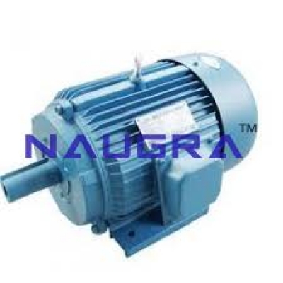 Electric Motor three phase