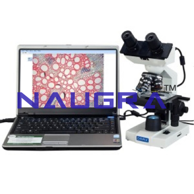 Lab LED Binocular