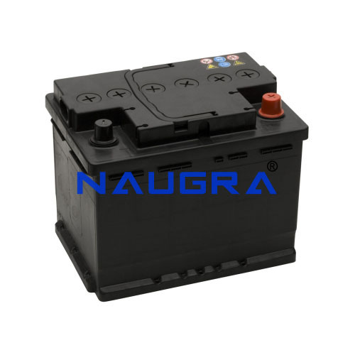 Automobile Battery