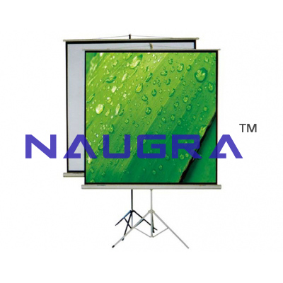 Tripod projection screen