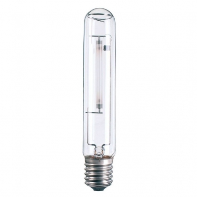 Electric discharge lamps