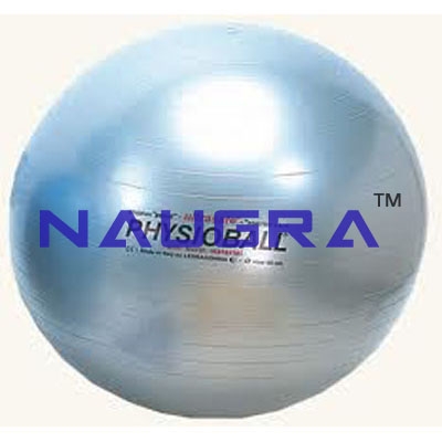 Physio Ball