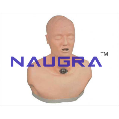 Advanced adult model for the nursing of incision of trachea