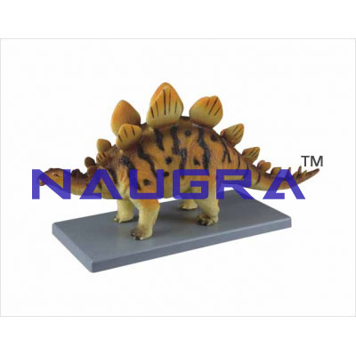 Model of stegosaurus