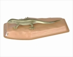 Model of Lizard