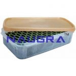 Corcyra Egg Cleaning Device Laboratory Equipments Supplies