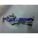 Mild Steel Burette Clamp Laboratory Equipments Supplies