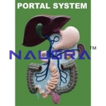 Portal System