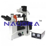 Inverted Fluorescence Microscopes