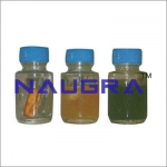 Bacteriological Test Vials Laboratory Equipments Supplies