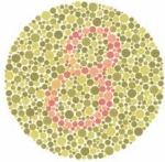 Ishihara Color Blind Test Chart