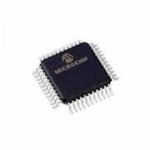 Microchip