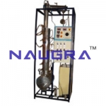 Bubble Cap Distillation Column