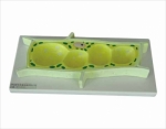 Plant cell model