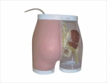 Advanced buttocks model for intramuscular injection and contrast model(with detection alarm system)