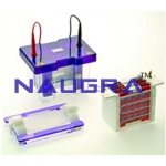 Vertical Electrophoresis System - Mini Laboratory Equipments Supplies