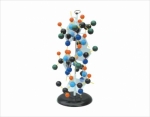 Protein Structure