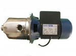 Raw Water Pump
