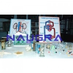 Science Teaching Equipments