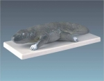 Model of paleozoic cayman