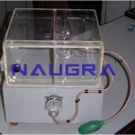 Histamine Chamber Laboratory Equipments Supplies