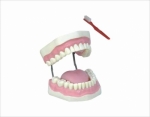 Tooth Hygiene Set