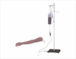 Advanced arm model for transfusion and intramuscular injection