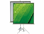 Tripod projection screen