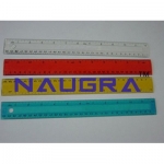 Foot Rulers Plastic