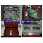 Analgesimeter Laboratory Equipments Supplies